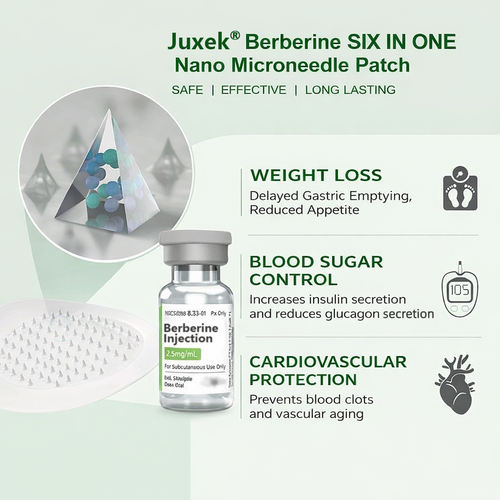 Berberine Patch® Nano Microneedle 6-in-1 Patch
